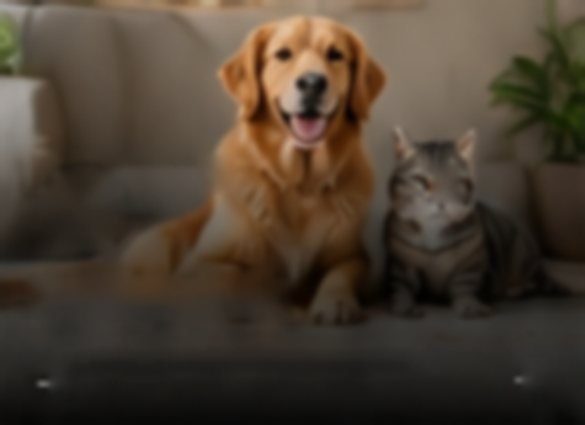 Pet Essentials